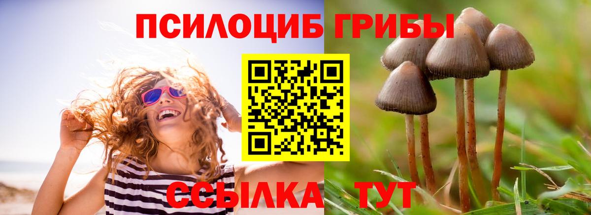 Галлюциногенные грибы мухоморы Кубинка